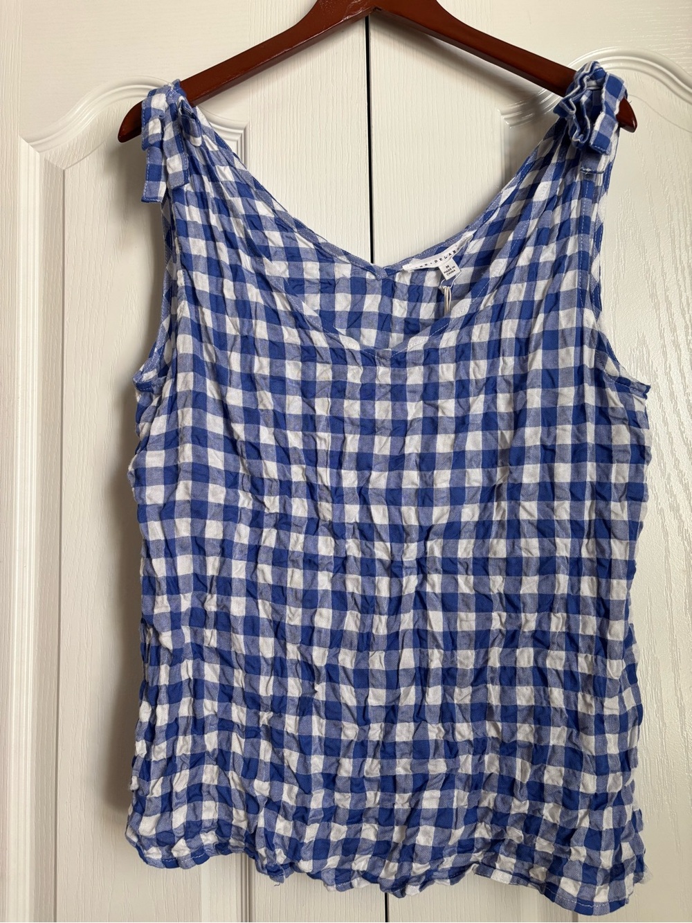 Jane and Delancy Blue and White Gingham Tie-Shoulder Camisole - Women